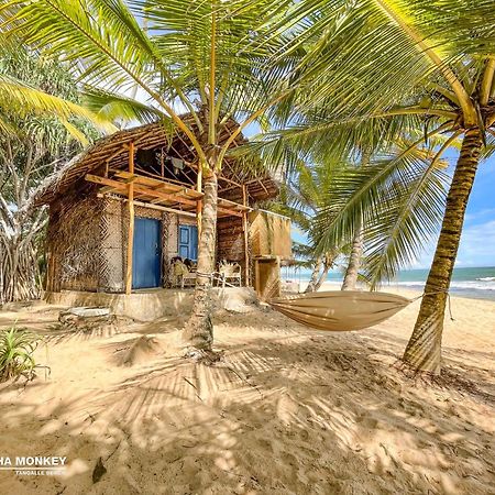 The Alpha Monkey Hotel & Tree House Tangalle Kültér fotó