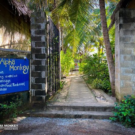 The Alpha Monkey Hotel & Tree House Tangalle Kültér fotó