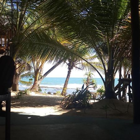 The Alpha Monkey Hotel & Tree House Tangalle Kültér fotó