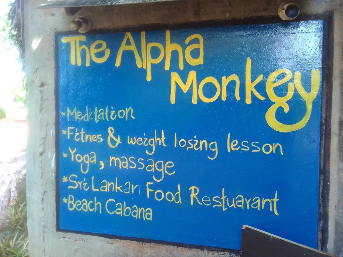 The Alpha Monkey Hotel & Tree House Tangalle Kültér fotó