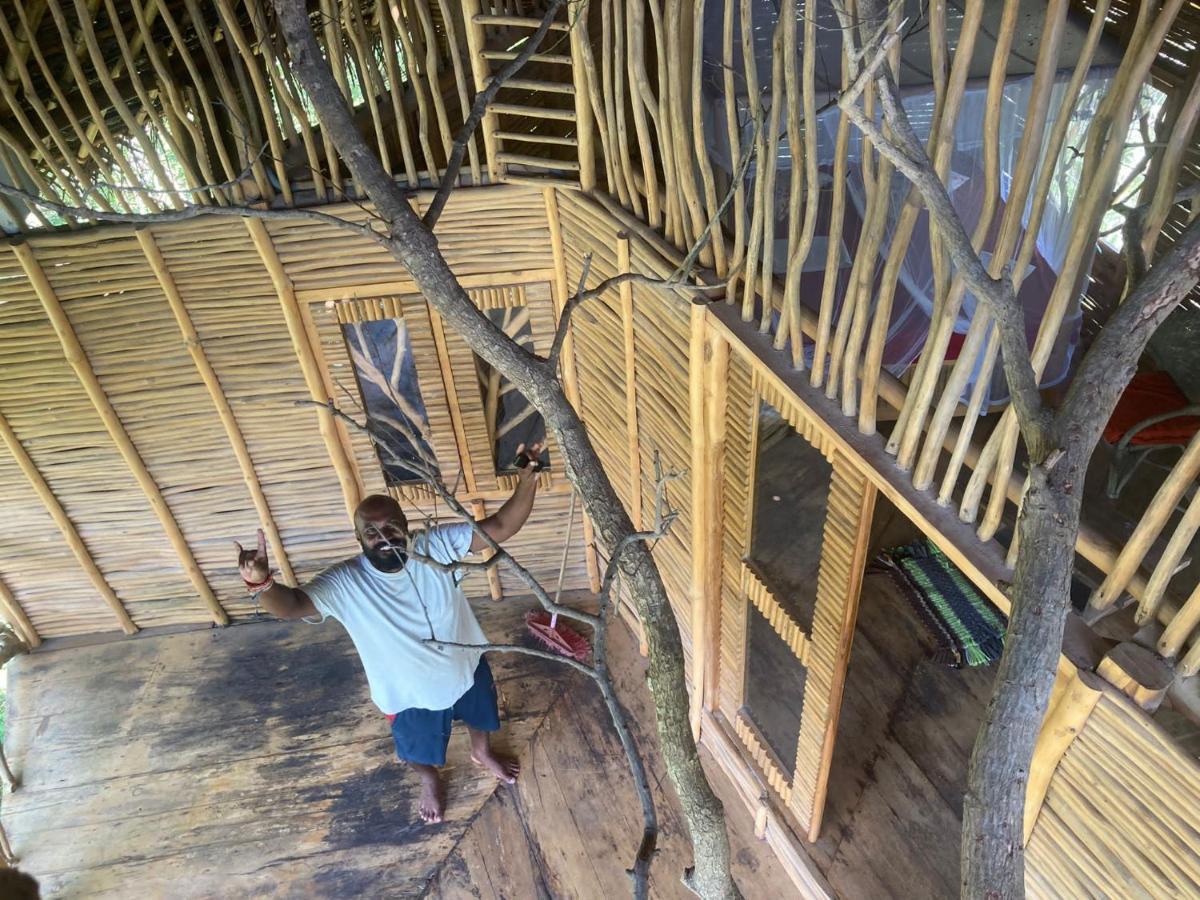The Alpha Monkey Hotel & Tree House Tangalle Kültér fotó