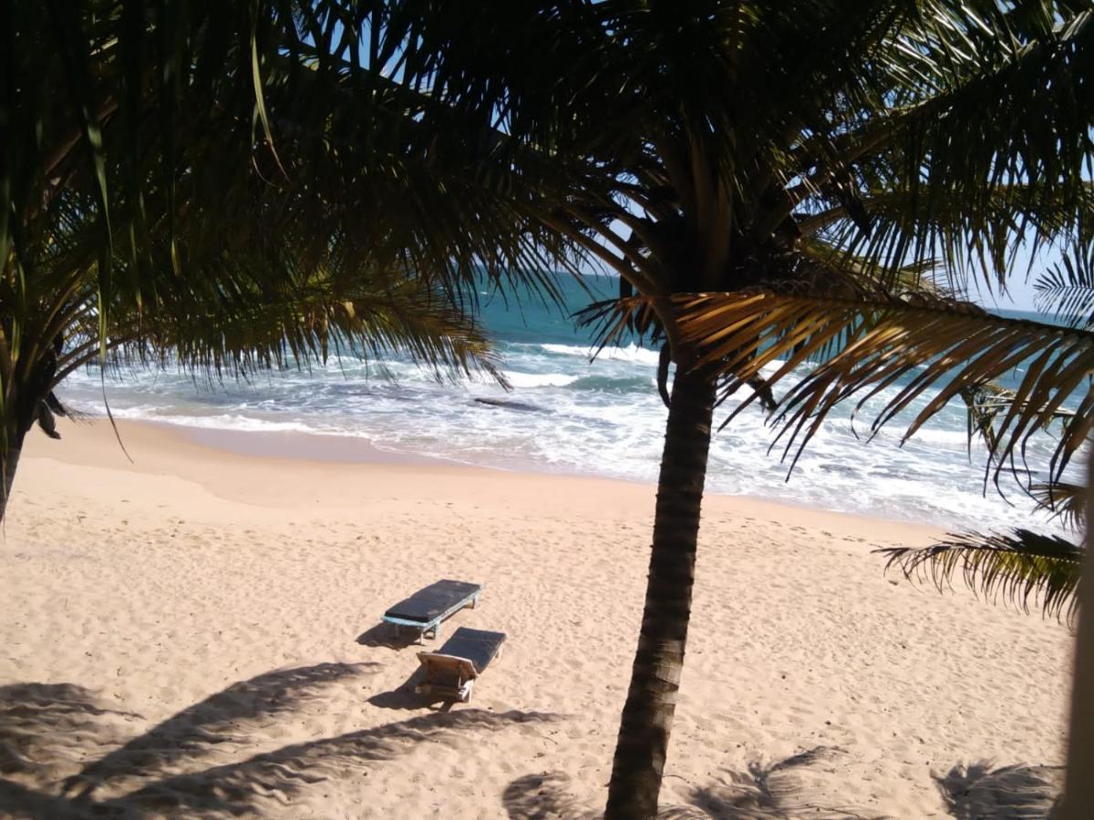 The Alpha Monkey Hotel & Tree House Tangalle Kültér fotó