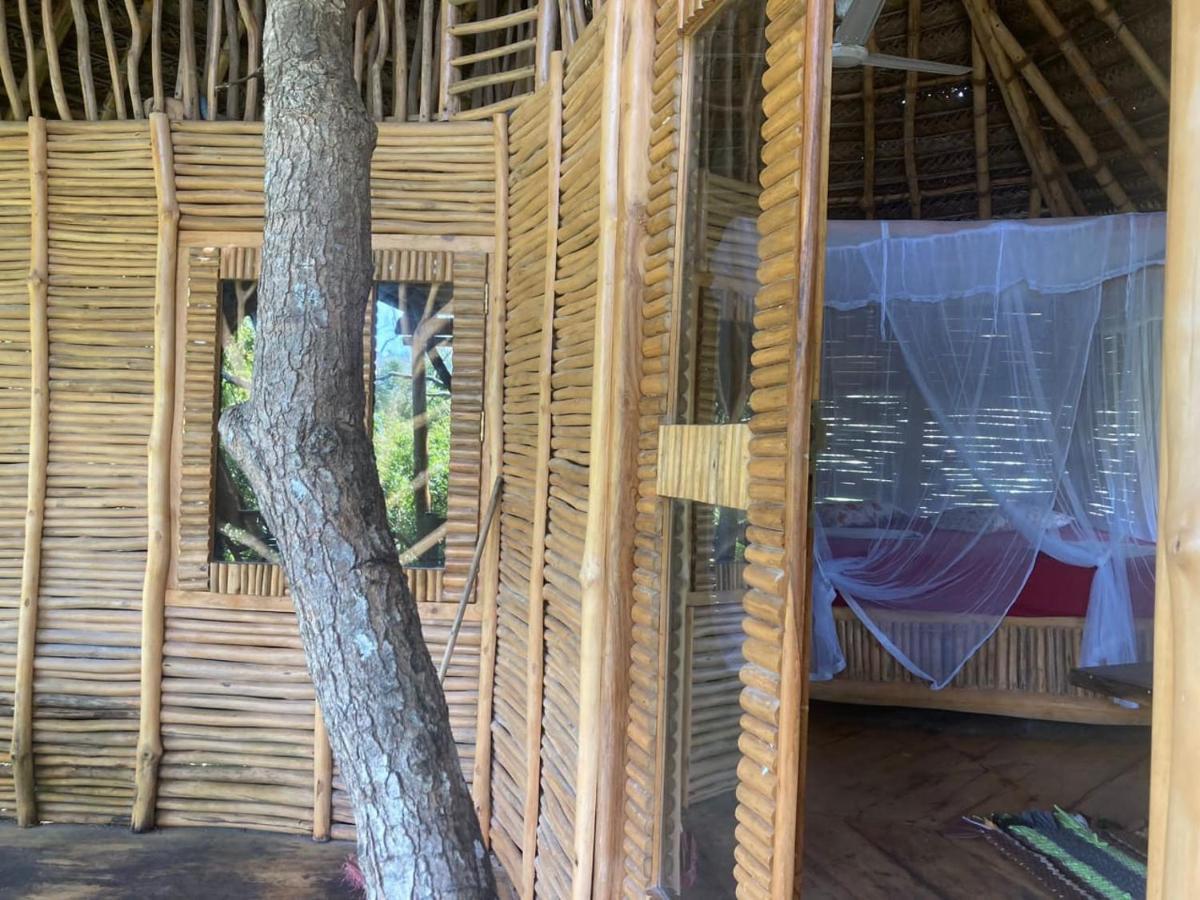 The Alpha Monkey Hotel & Tree House Tangalle Kültér fotó