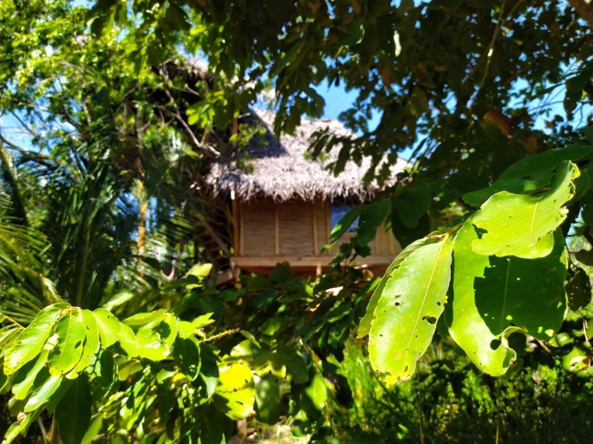 The Alpha Monkey Hotel & Tree House Tangalle Kültér fotó
