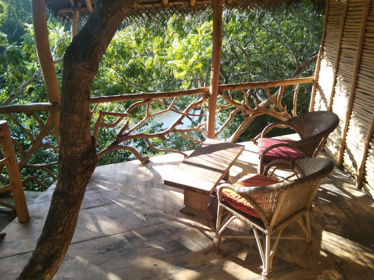 The Alpha Monkey Hotel & Tree House Tangalle Kültér fotó