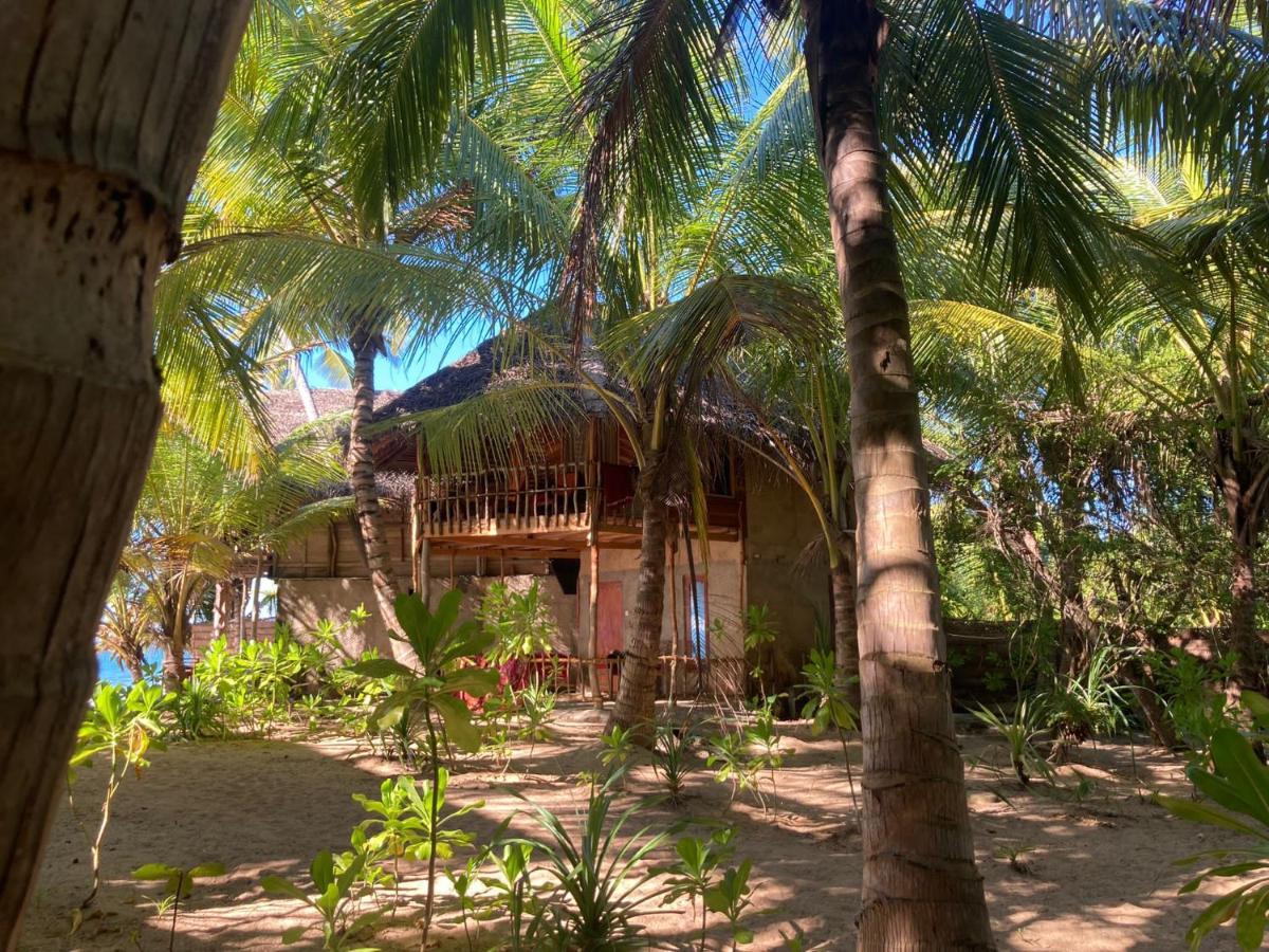 The Alpha Monkey Hotel & Tree House Tangalle Kültér fotó