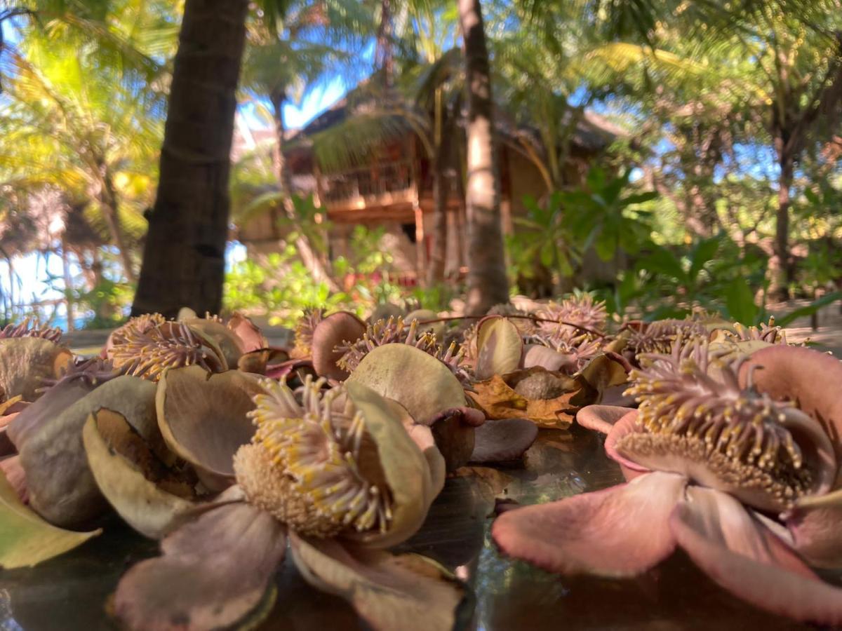 The Alpha Monkey Hotel & Tree House Tangalle Kültér fotó