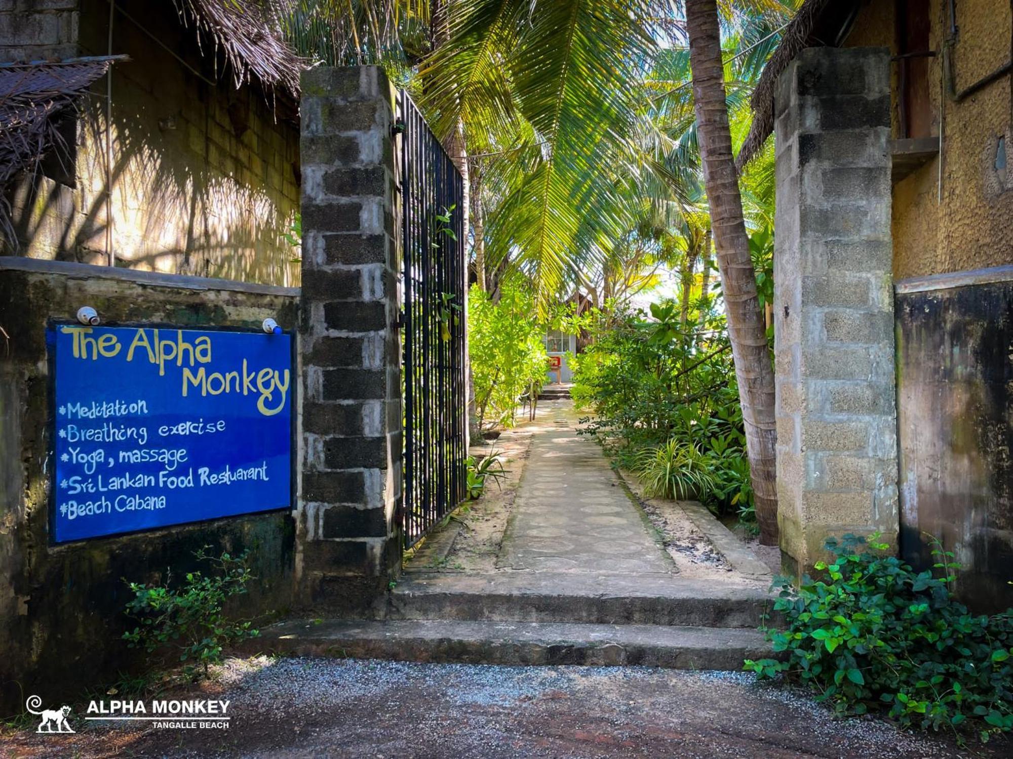 The Alpha Monkey Hotel & Tree House Tangalle Kültér fotó