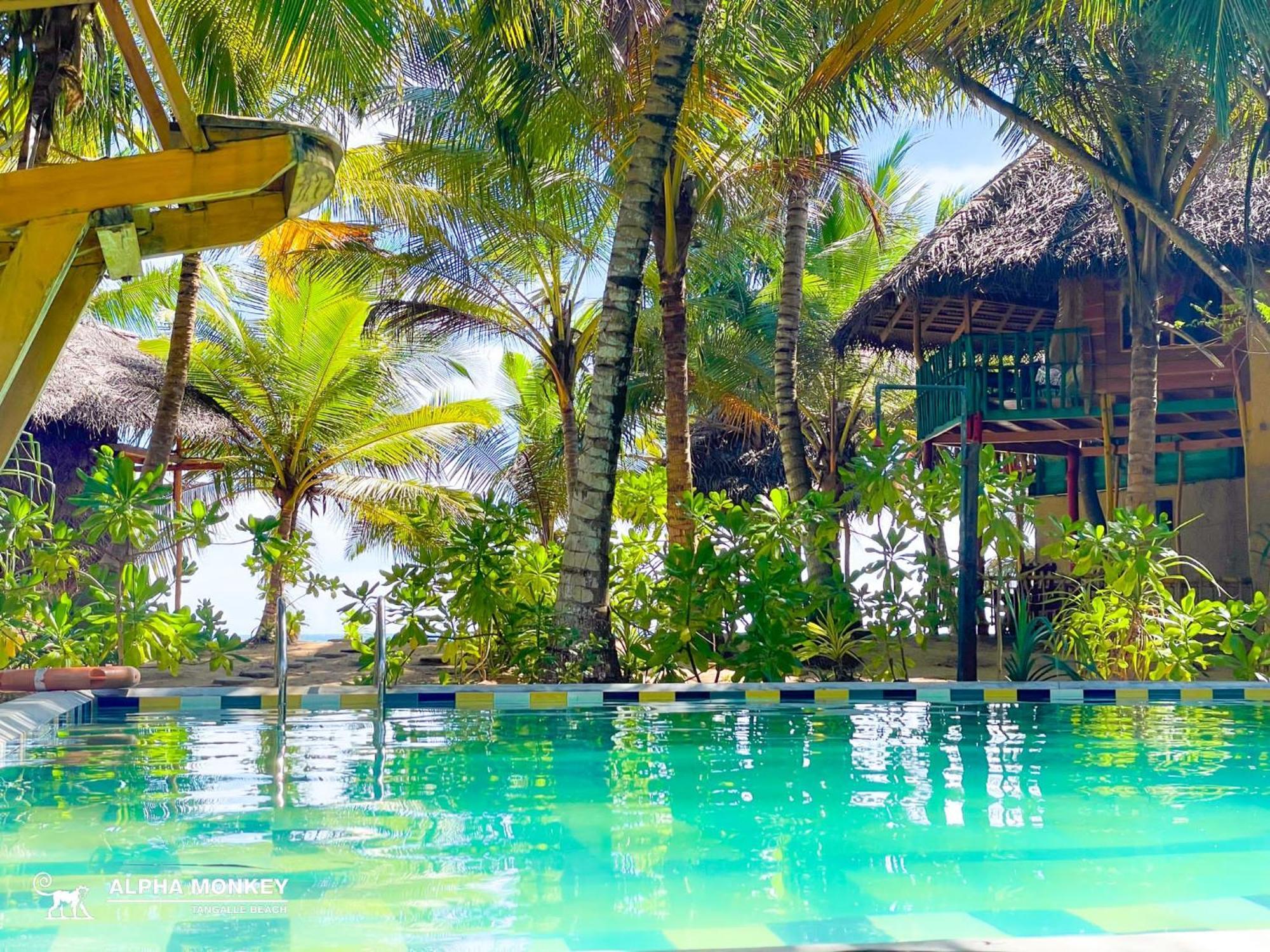 The Alpha Monkey Hotel & Tree House Tangalle Kültér fotó