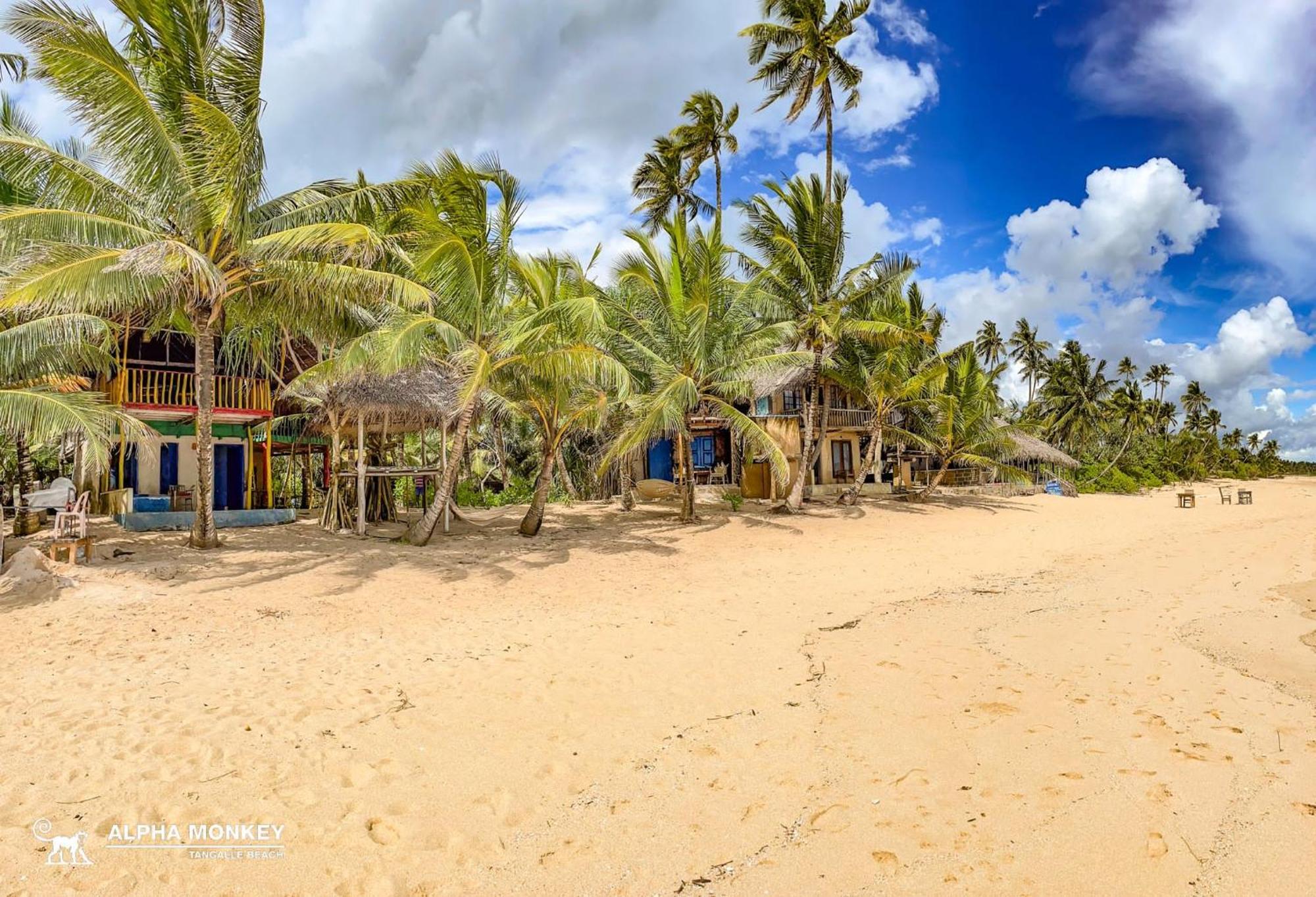 The Alpha Monkey Hotel & Tree House Tangalle Kültér fotó