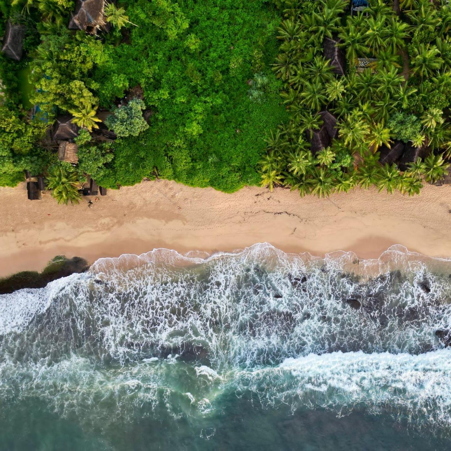 The Alpha Monkey Hotel & Tree House Tangalle Kültér fotó