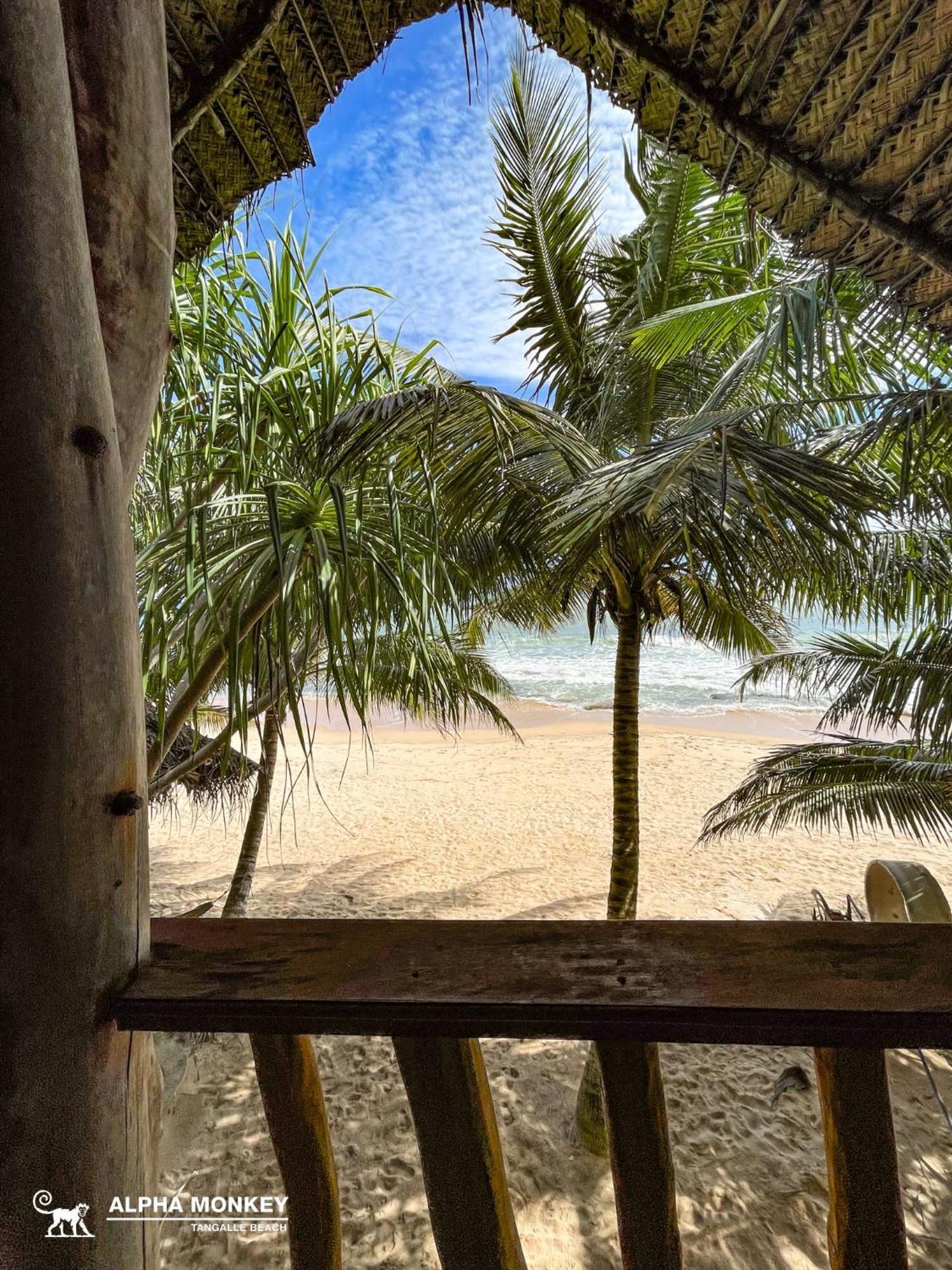 The Alpha Monkey Hotel & Tree House Tangalle Szoba fotó