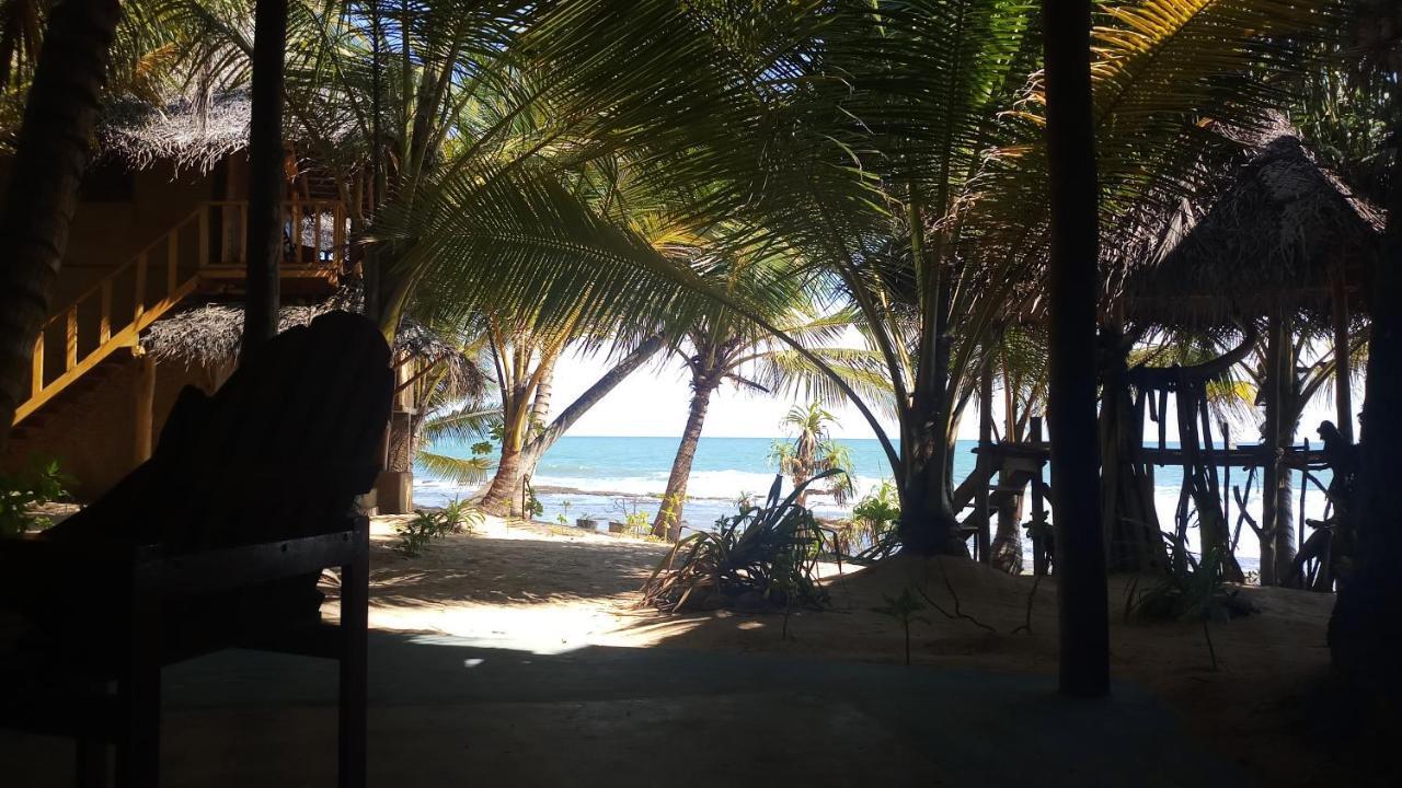 The Alpha Monkey Hotel & Tree House Tangalle Kültér fotó