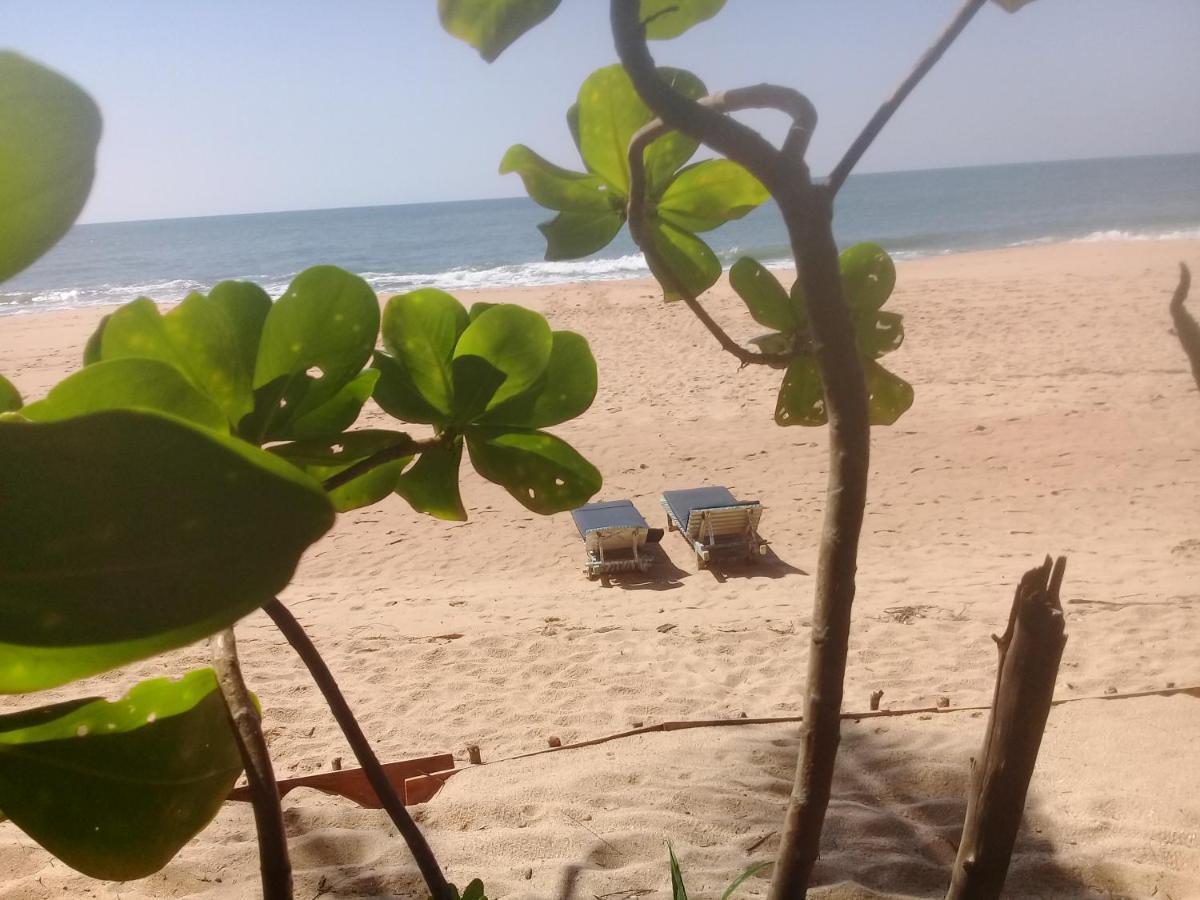 The Alpha Monkey Hotel & Tree House Tangalle Kültér fotó